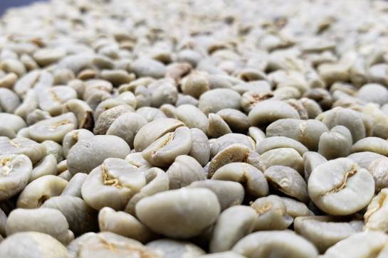 Café Arábica
