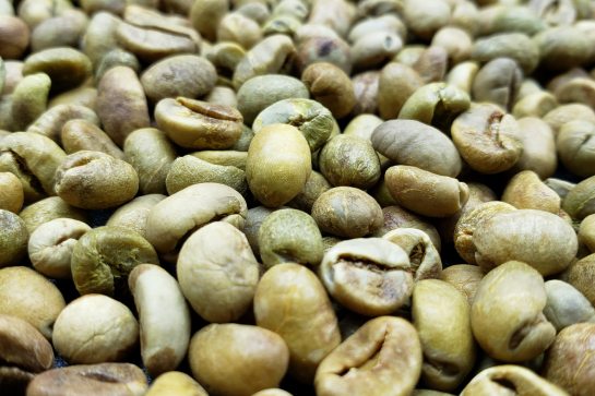 Café Conilon